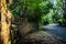 Acclimatization park sÃ£o paulo Brazil Â  wall and bricks asphalt